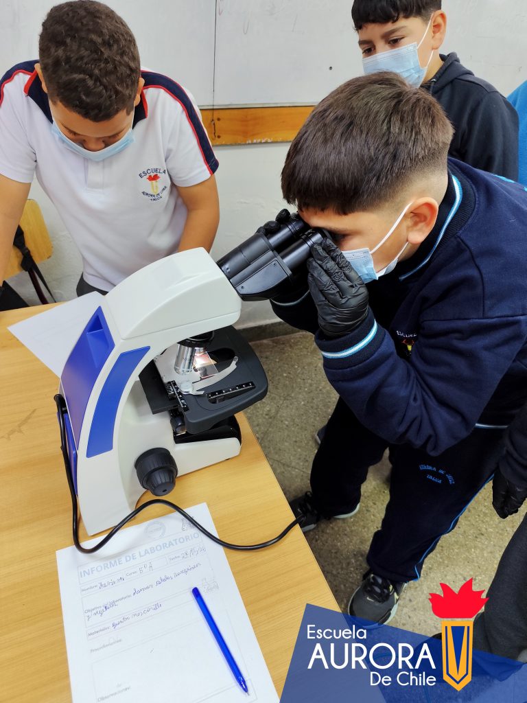 Aprendiendo cienciadesde la observación