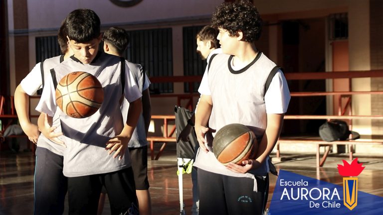 Taller de Básquetbol